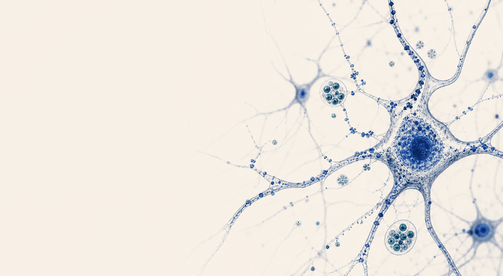 Microscopy-inspired scientific illustration of neurons and vesicular biology
